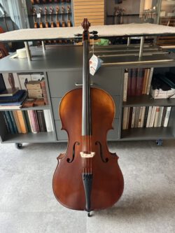 Cello 4/4 Roderich Paesold "Rhapsodie" 2025