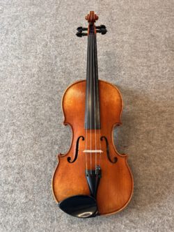 Violine 4/4 Roderich Paesold PA803E